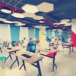 Around the Envato Office - Selina